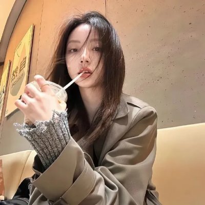 鹬 海报