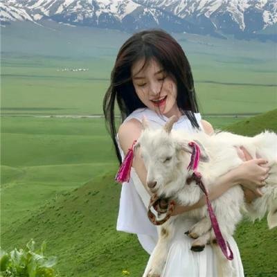 爱情大师